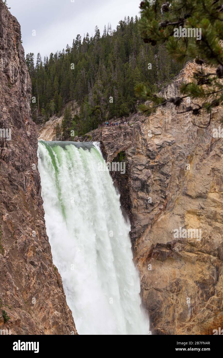 The tall and powerful Lower Falls of the Yellowstone River as it falls ...