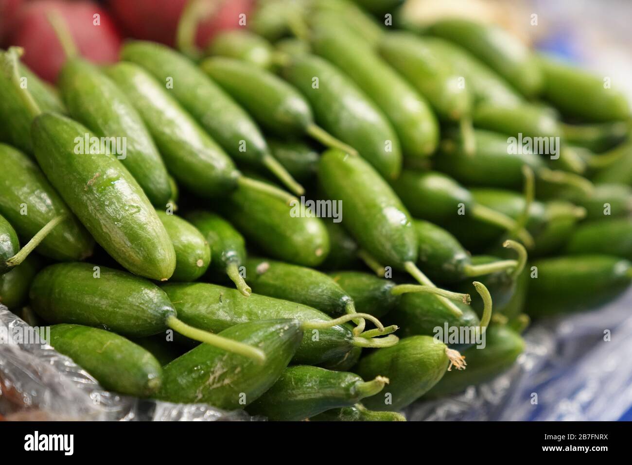 Konya Turkey Market High Resolution Stock Photography And Images Alamy Konya Turkey Market High Resolution Stock Photography And Images Alamy