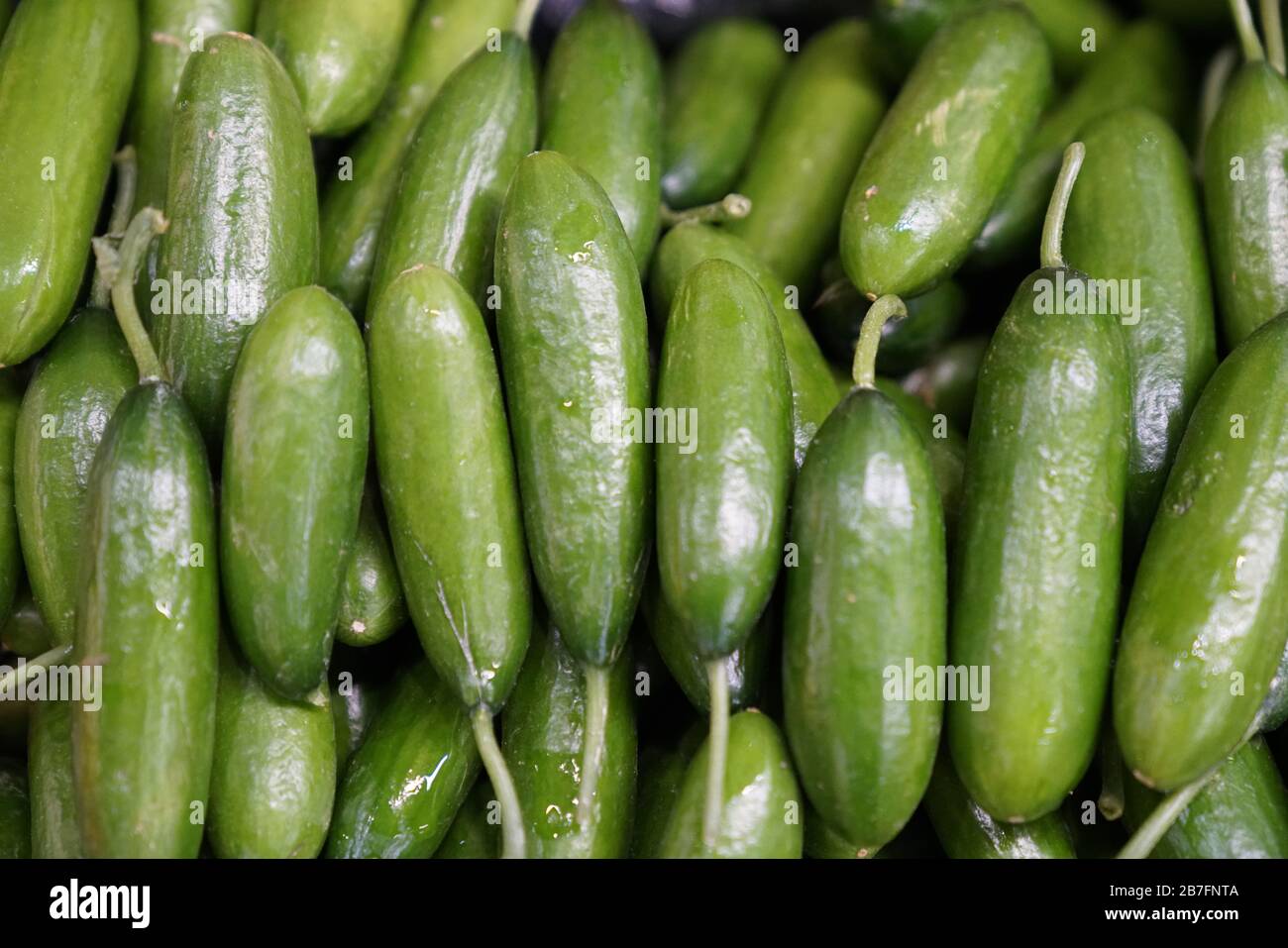 Konya Turkey Market High Resolution Stock Photography And Images Alamy Konya Turkey Market High Resolution Stock Photography And Images Alamy