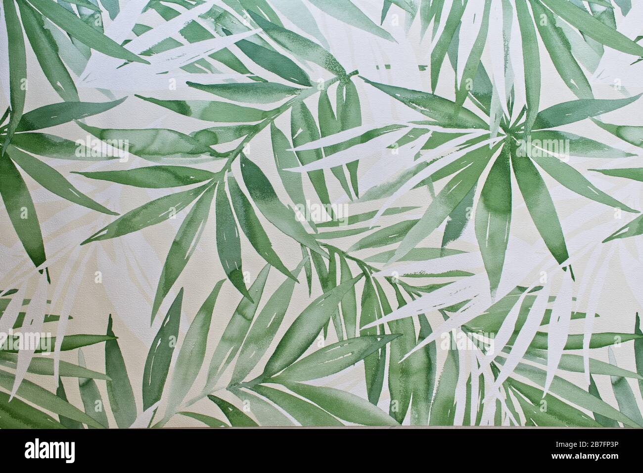 Modern wallpaper with palm fronds. Stock Photo