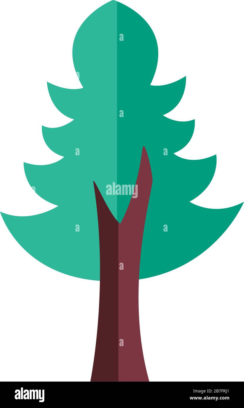 pine tree plant forest flat style icon Stock Vector Image & Art - Alamy