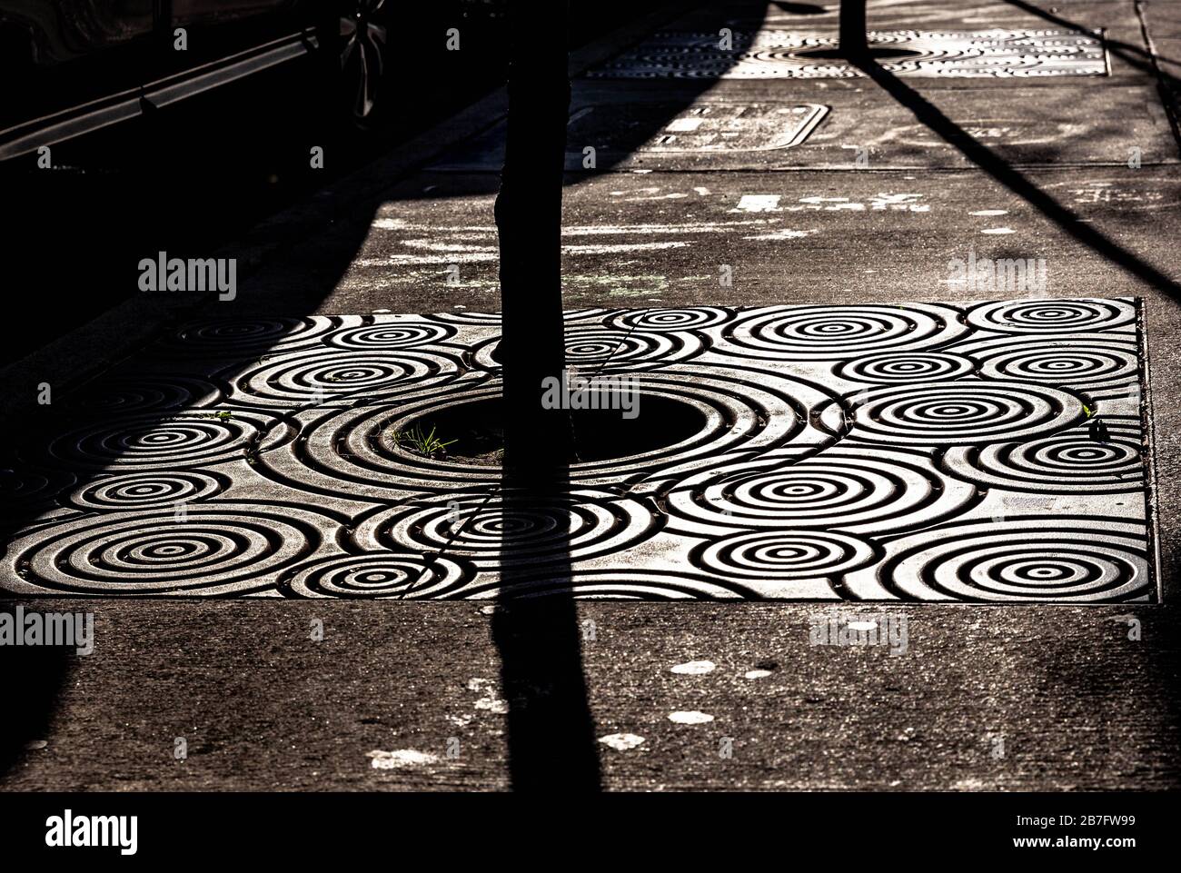 A cast iron tree grate on a pavement, Wynwood neighborhood, Miami, Florida, USA. Stock Photo