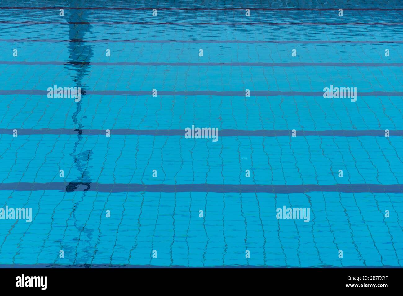 bright blue water swimming pool lane line in summer season relaxation