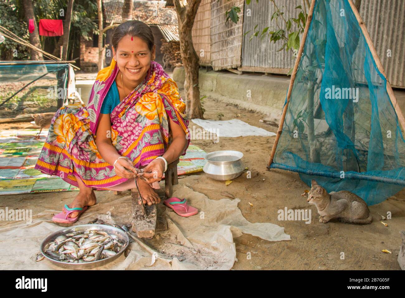 A Bangladeshi woman cleaning indigenous fish species which is very important source of micro nutrients for pregnant and lactating mother. Stock Photo