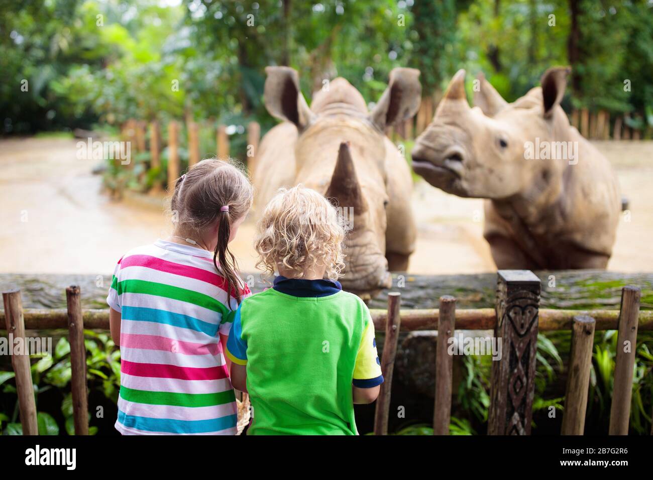 Family feeding rhino in zoo. Children feed rhinoceros in tropical