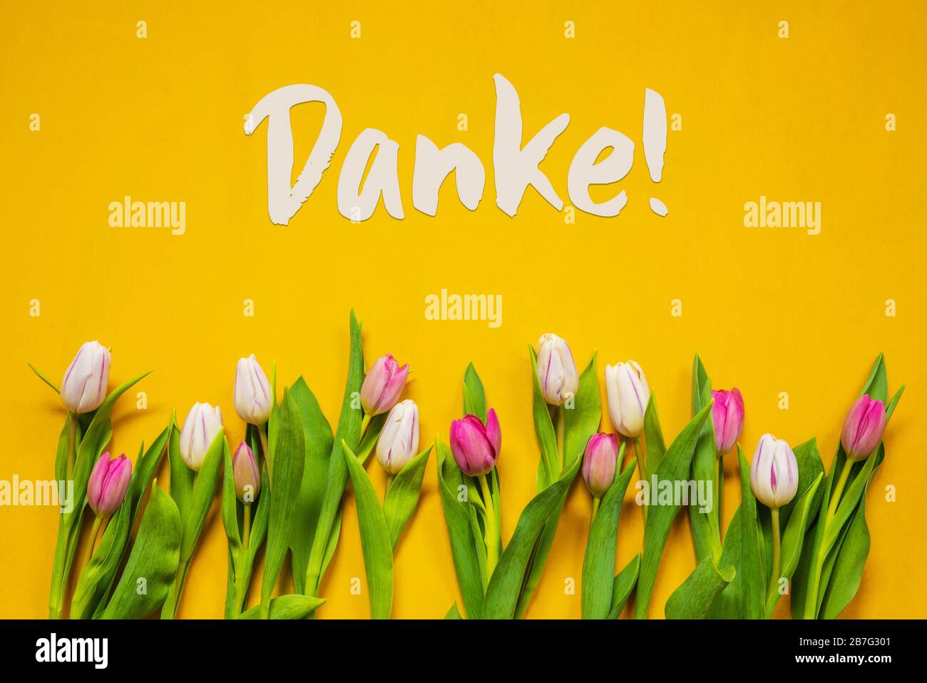Colorful Tulip, Text Danke Means Thank You, Yellow Background Stock