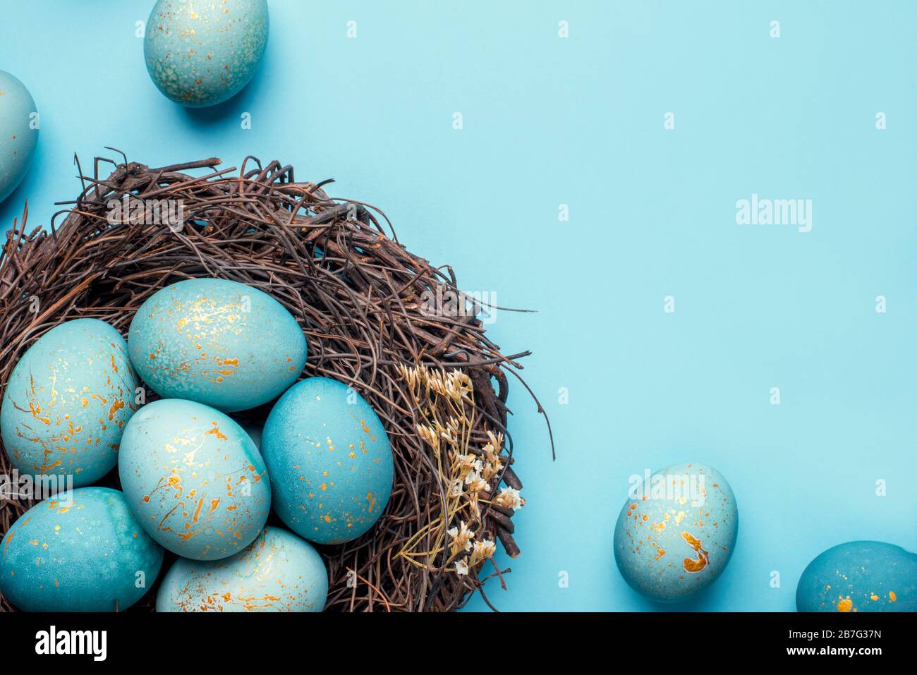 Easter eggs in nest on blue background Stock Photo - Alamy