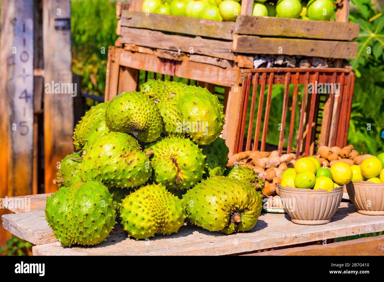 Sri Lanka Cultural Triangle Anuradhapura exotic tropical fruit stall wood boxes apples limes lemons graviola paw paw papaya roadside sugar apples Stock Photo