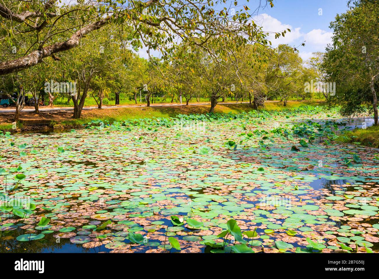 Sri Lanka Anuradhapura Isurumuni Rock Temple Monastery 3 BC built King Devanampiya Tissa sacred shrine Tisā Vœva reservoir waterlilies  tuk tuk bikes Stock Photo