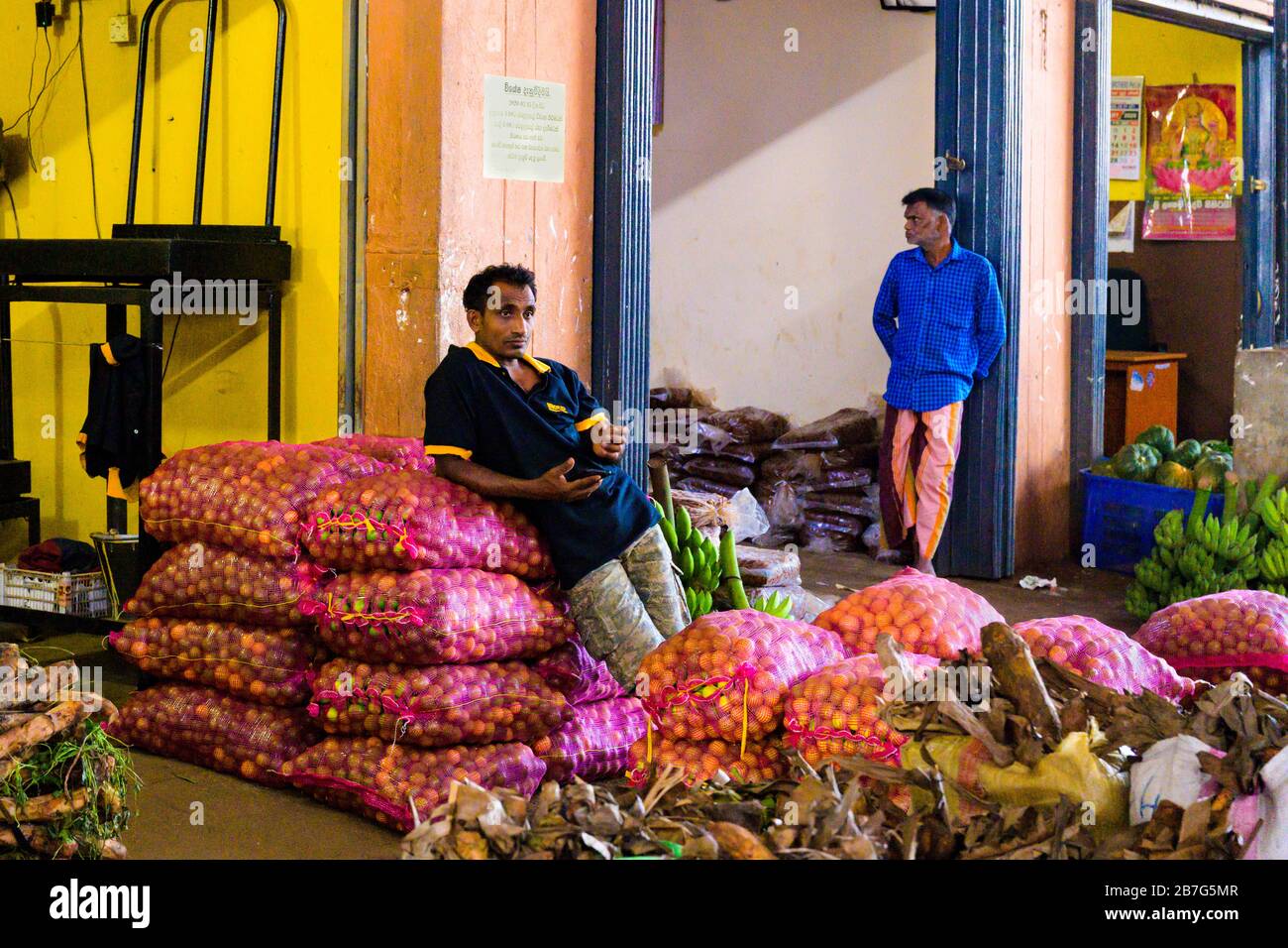 South Asia Sri Lanka Ceylon Dambulla Economic Centre Center wholesale vegetable & fruit market vendor leaning piles red plastic sacks bananas apples Stock Photo