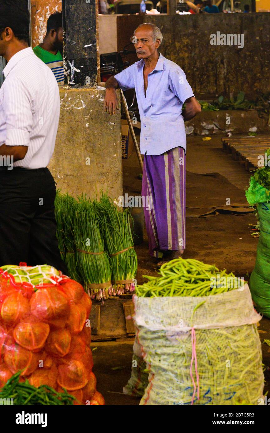 South Asia Sri Lanka Ceylon Dambulla Economic Centre Center wholesale vegetable & fruit market drumsticks moringa chillis grey haired old man Stock Photo