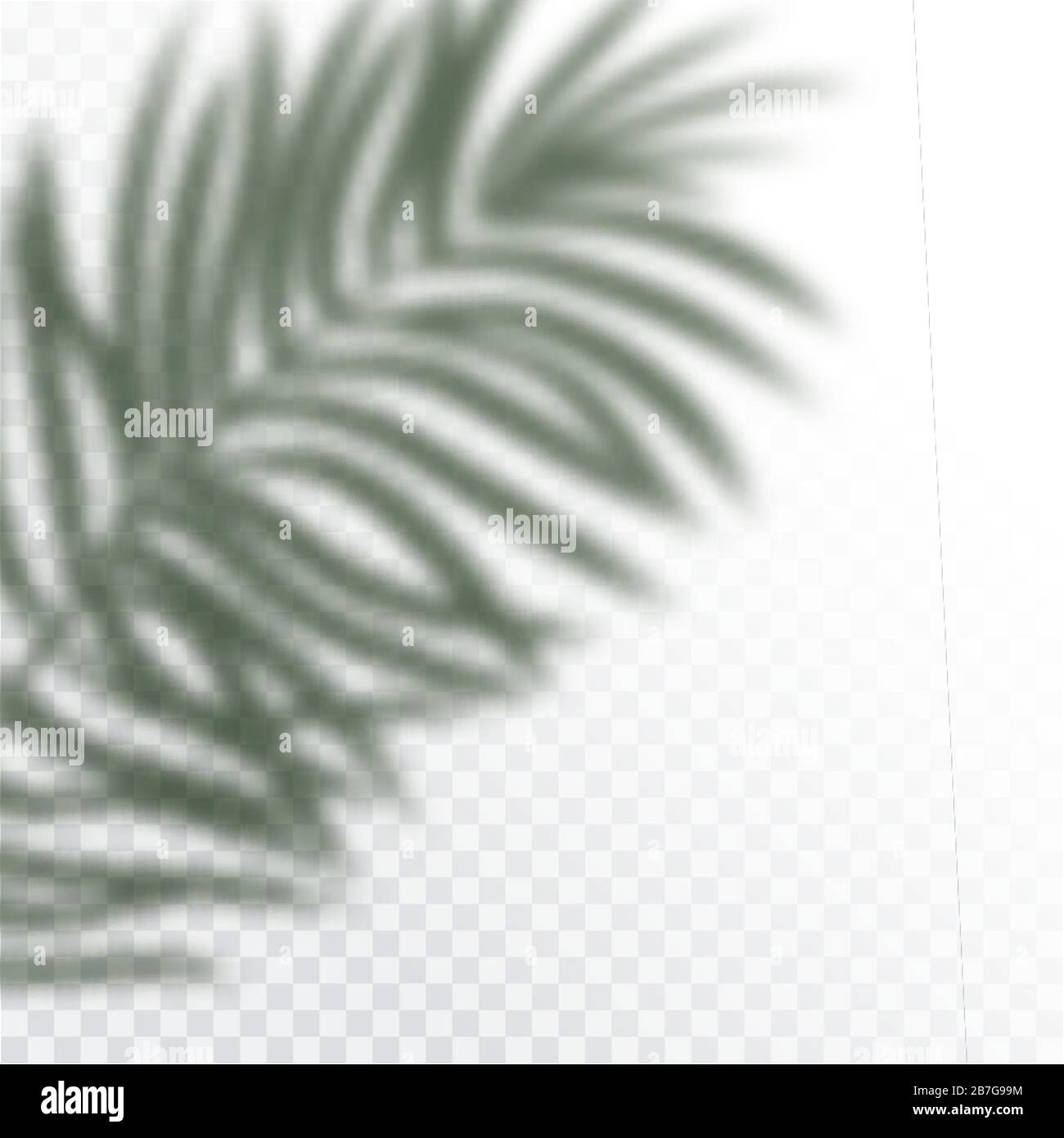 Transparent shadows of tropic Leaves. The shadow overlay effect. Background of tropical plants. Palm leaves, jungle leaf. The poster for sale and an Stock Vector