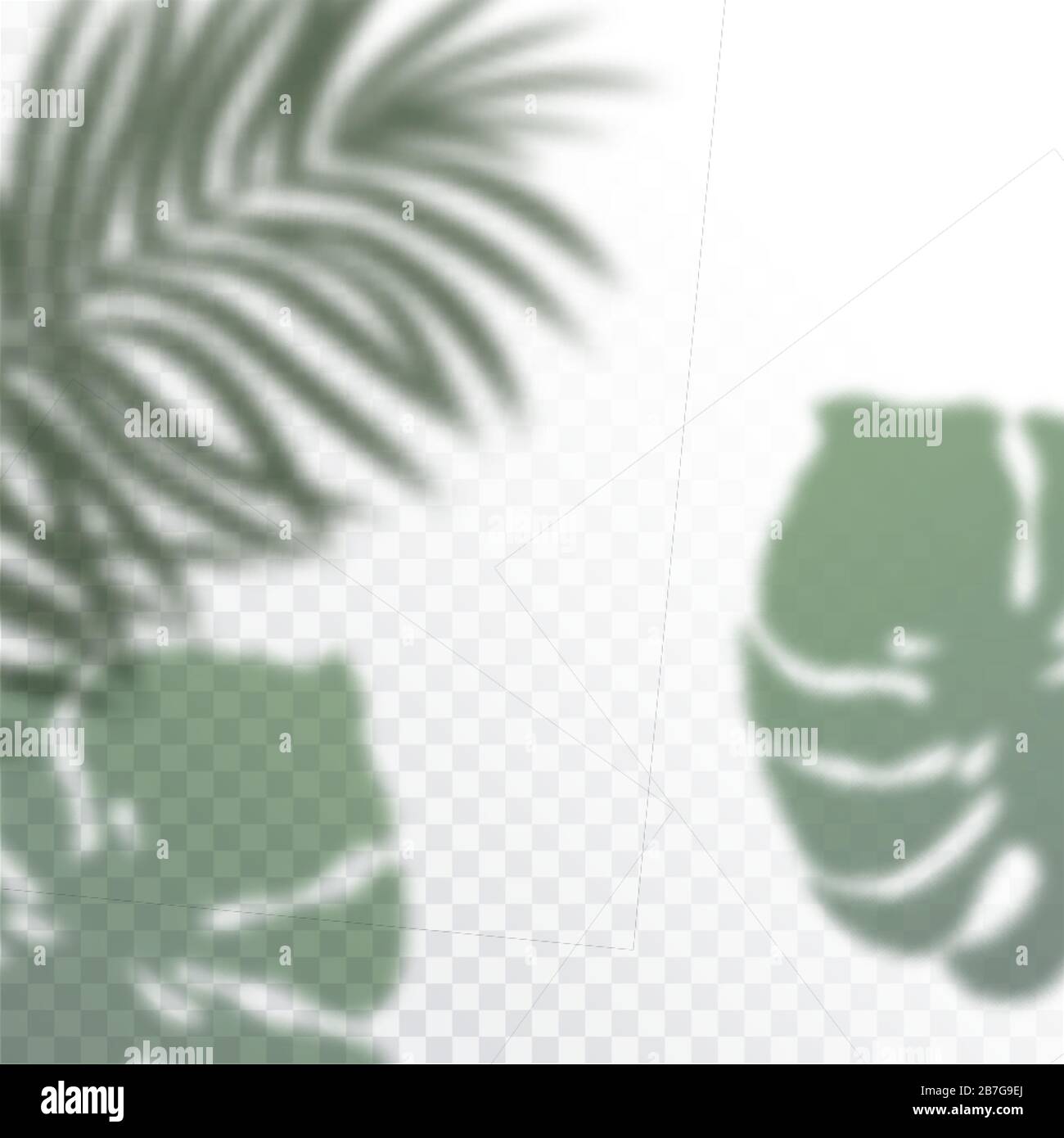 Transparent shadows of tropic Leaves. The shadow overlay effect. Background of tropical plants. Palm leaves, jungle leaf. The poster for sale and an Stock Vector