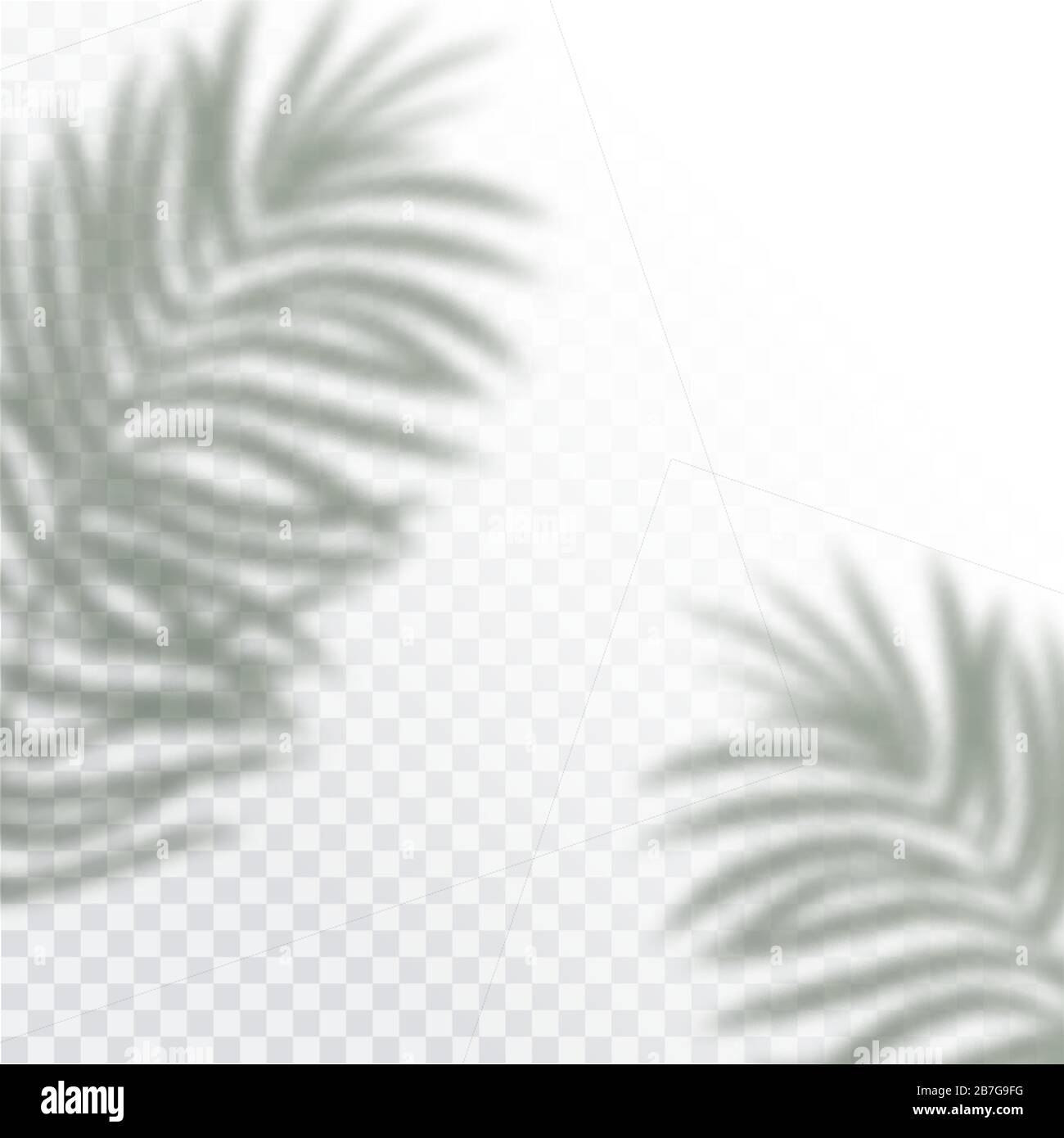 Transparent shadows of tropic Leaves. The shadow overlay effect. Background of tropical plants. Palm leaves, jungle leaf. The poster for sale and an Stock Vector