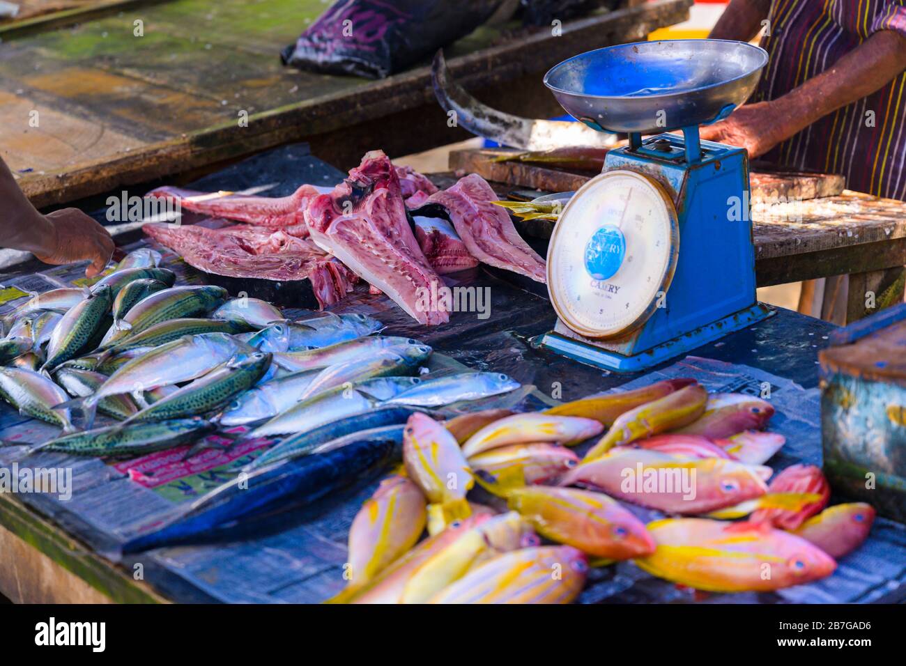 South Asia Sri Lanka Fort Galle colonial town centre old ancient harbour port fresh fish stall mullet bream scales Stock Photo