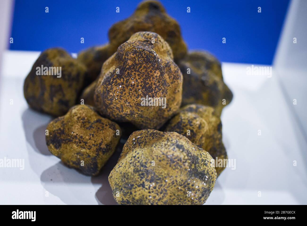fresh truffles close up view Stock Photo