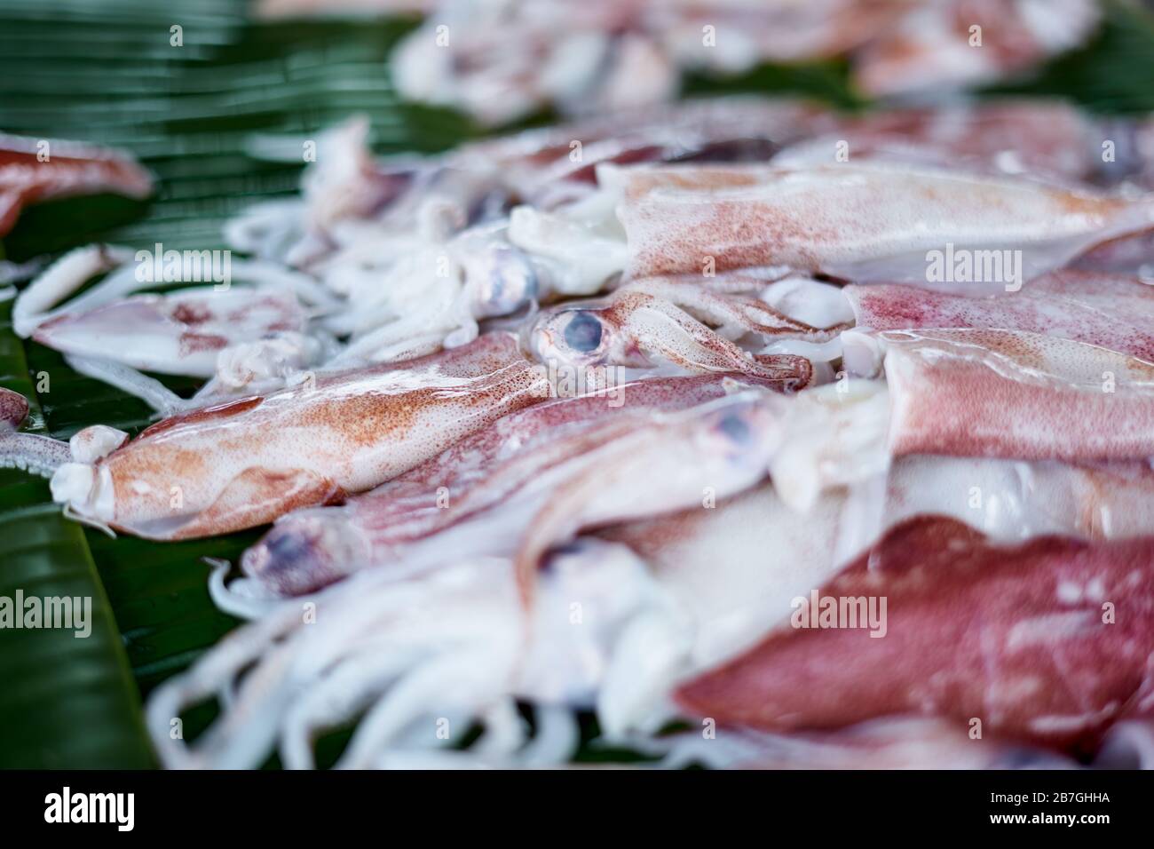 Fresh Group of Squid sale at Local fish Market Stock Photo - Alamy
