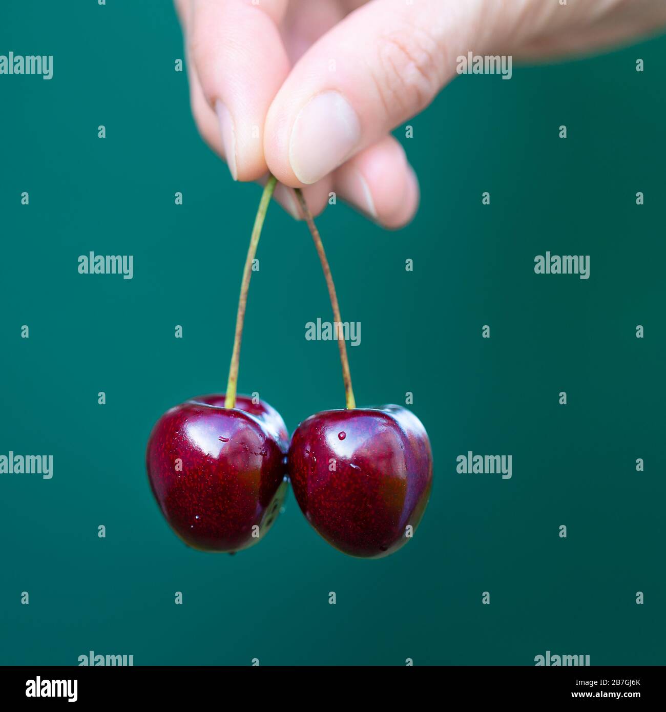 Two cherries in a woman's hand Stock Photo