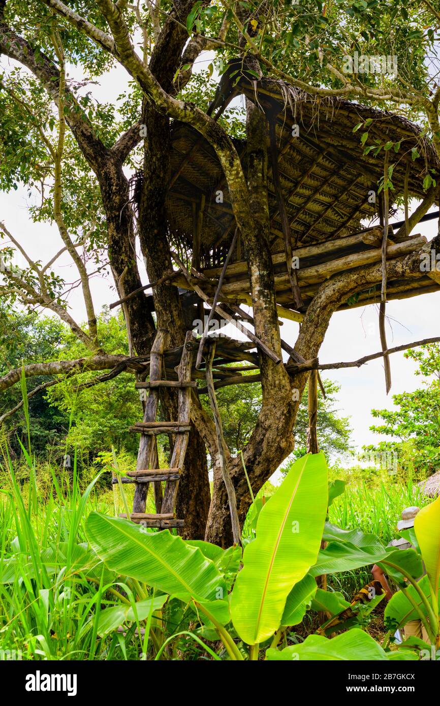 South Asia Sri Lanka Sigiriya Ceylon farmers field tree wooden shack house lookout for wild elephants to protect crops Stock Photo