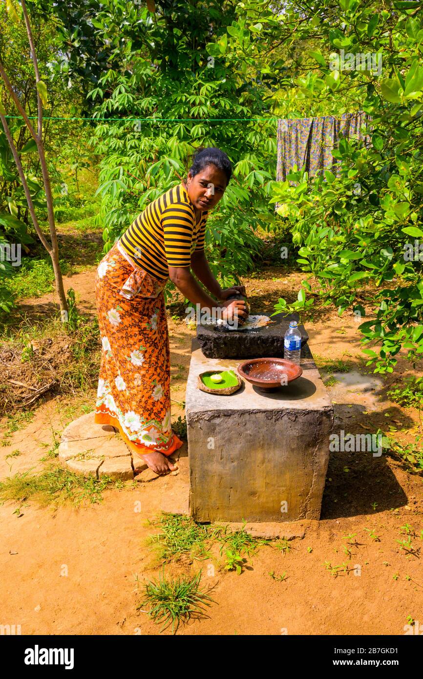 South Asia Sri Lanka Sigiriya Ceylon demo grinding rice into flour with stone pestle mortar earthenware bowl outdoors sari plaited palm leaf bowl Stock Photo