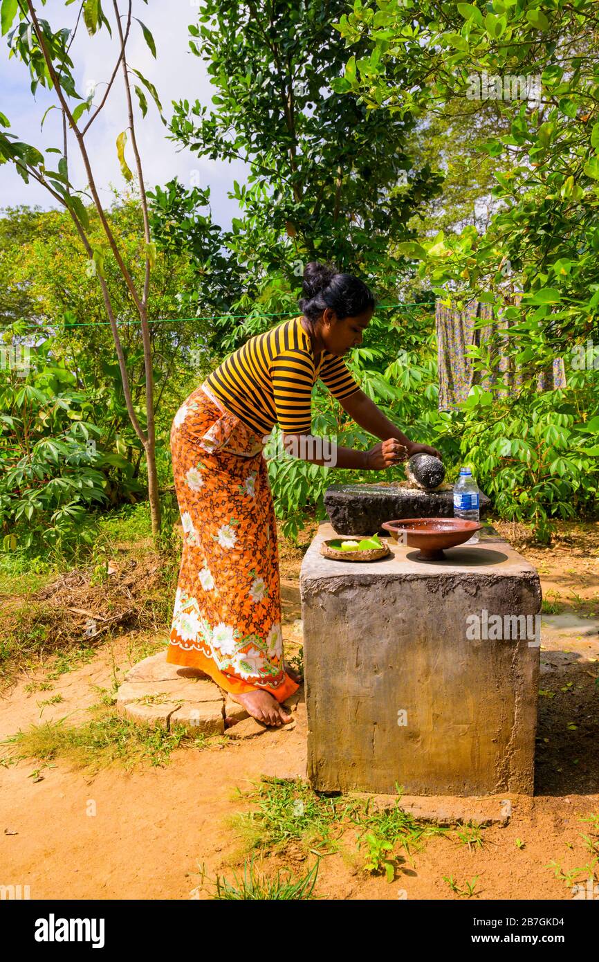 South Asia Sri Lanka Sigiriya Ceylon demo grinding rice into flour with stone pestle mortar earthenware bowl outdoors sari plaited palm leaf bowl Stock Photo