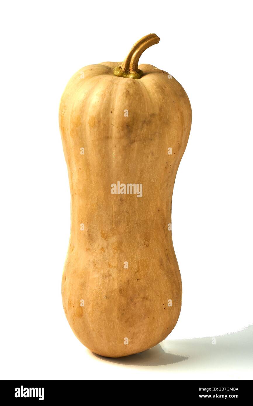 Butternut squash isolated on white background Stock Photo - Alamy