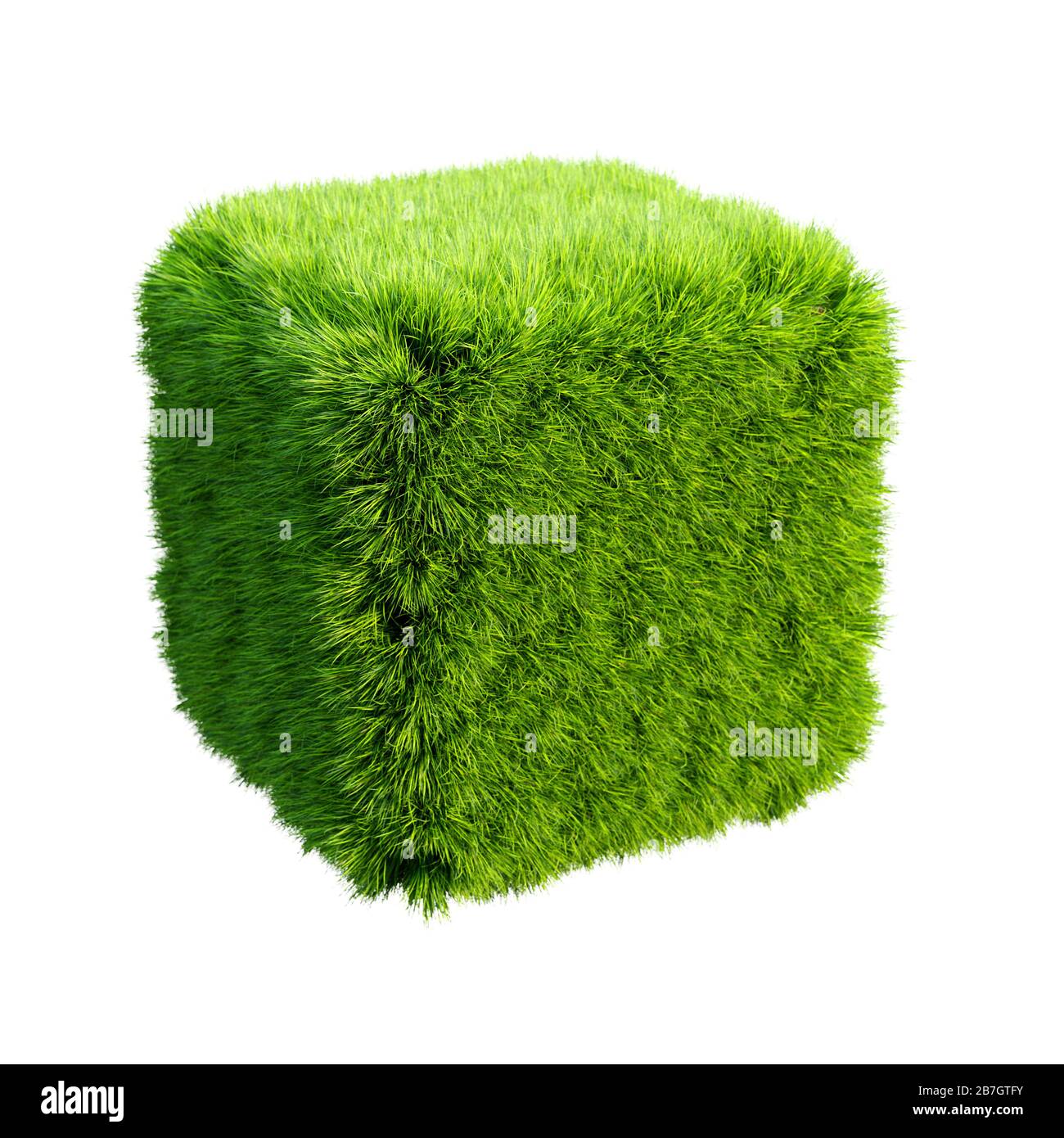 Grass cube isolated. 3d rendering illustration Stock Photo