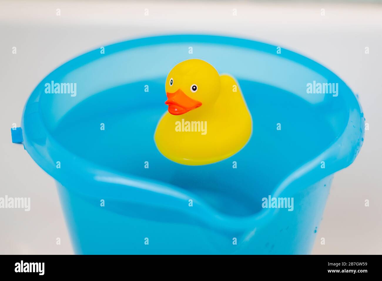 Download Yellow Rubber Duck In A Blue Bucket Full Of Water Stock Photo Alamy Yellowimages Mockups