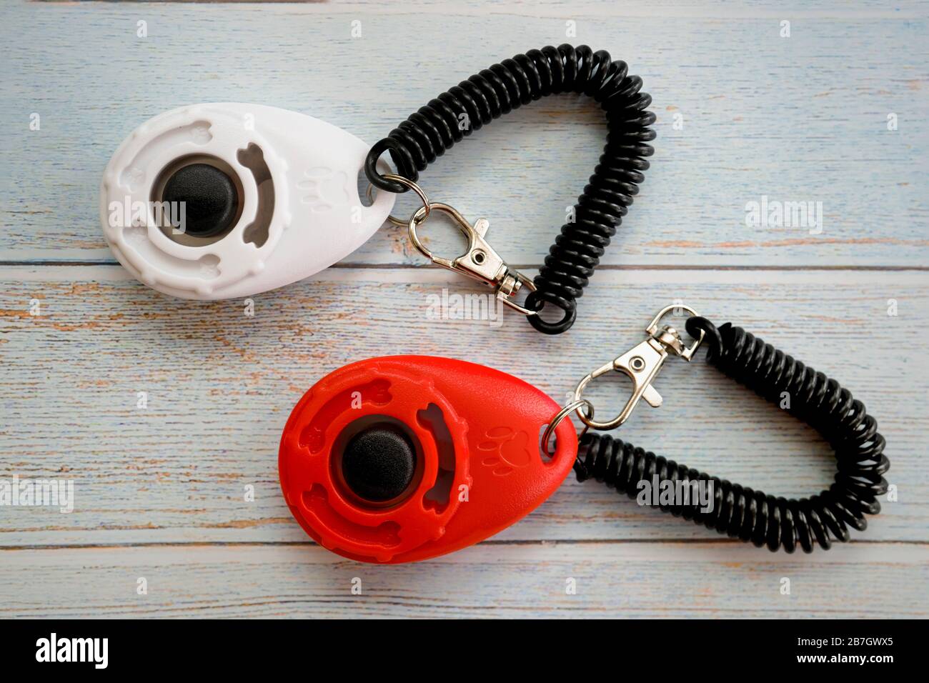 Dog training clicker close up. Stock Photo