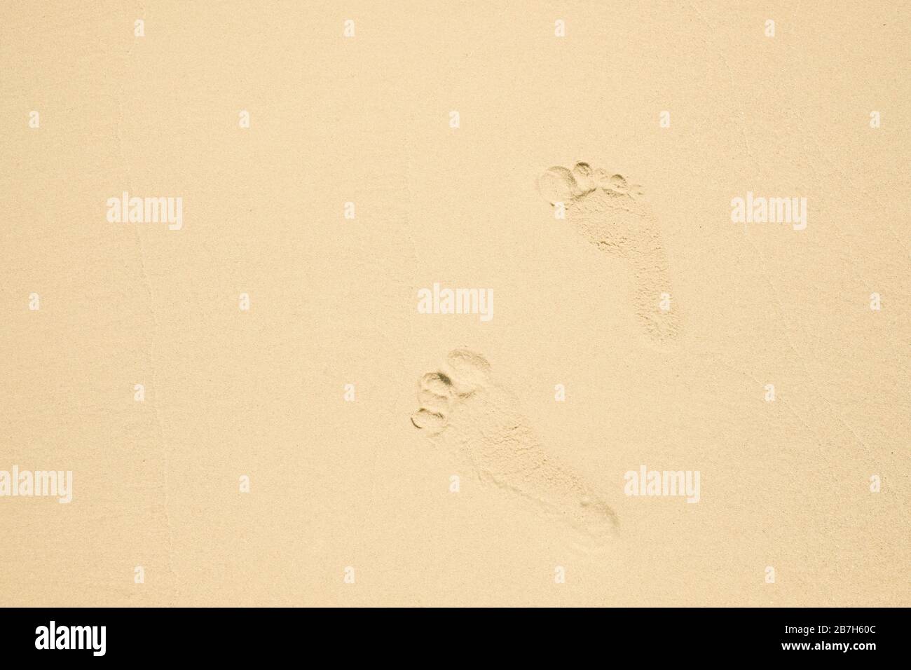 Footprints of a man walking on the sand beach. Stock Photo