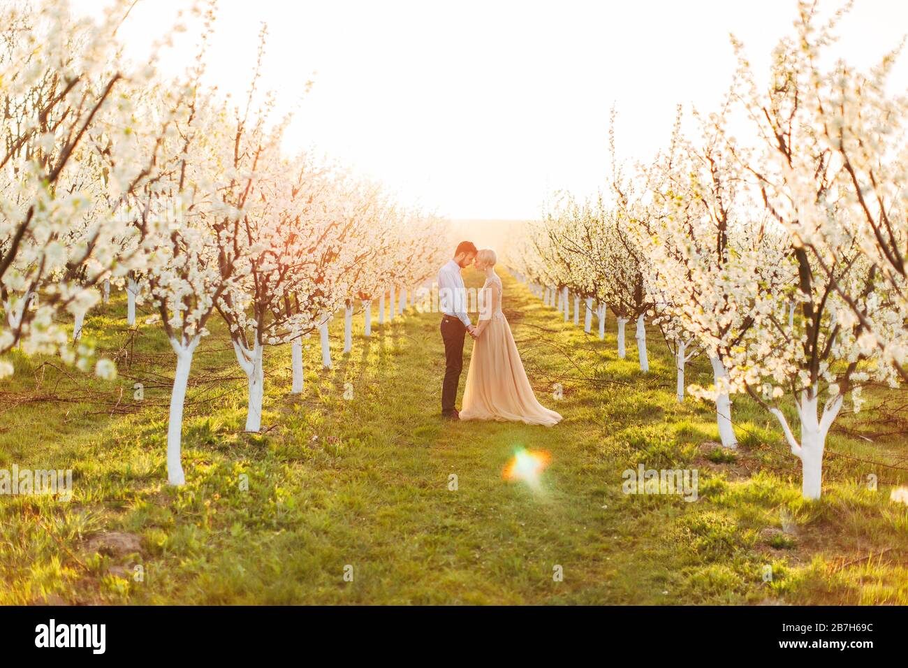 Happy romantic couple in love having a date love story in spring blooming garden, standing between lines of beautiful cherry trees in bloom during the Stock Photo