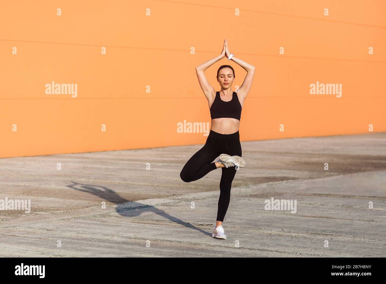 Vrikshasana tree pose and meditating 