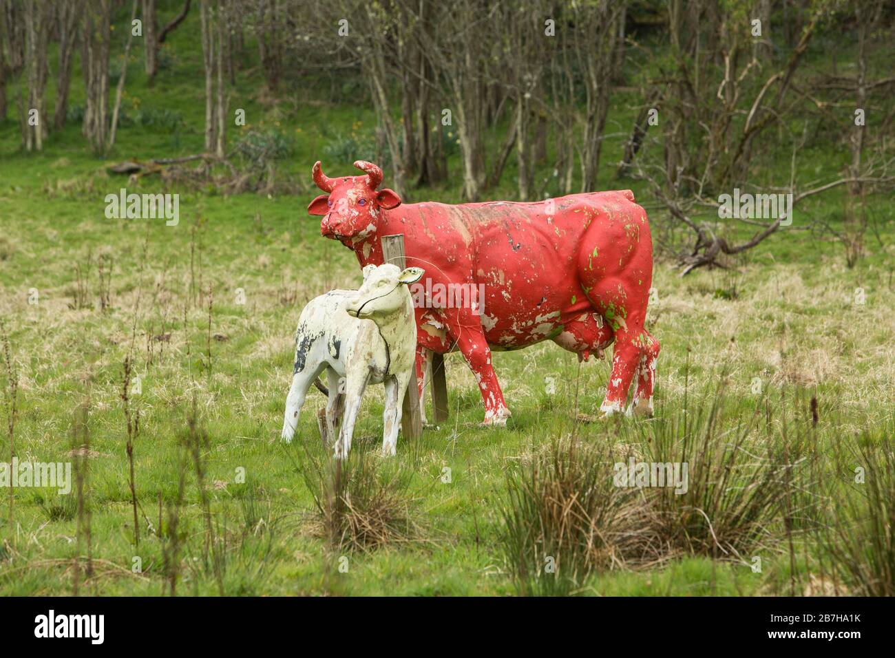 Lifesize red and purple painted statues of cows and calves in a woodland field near Lanark, Scotland Stock Photo