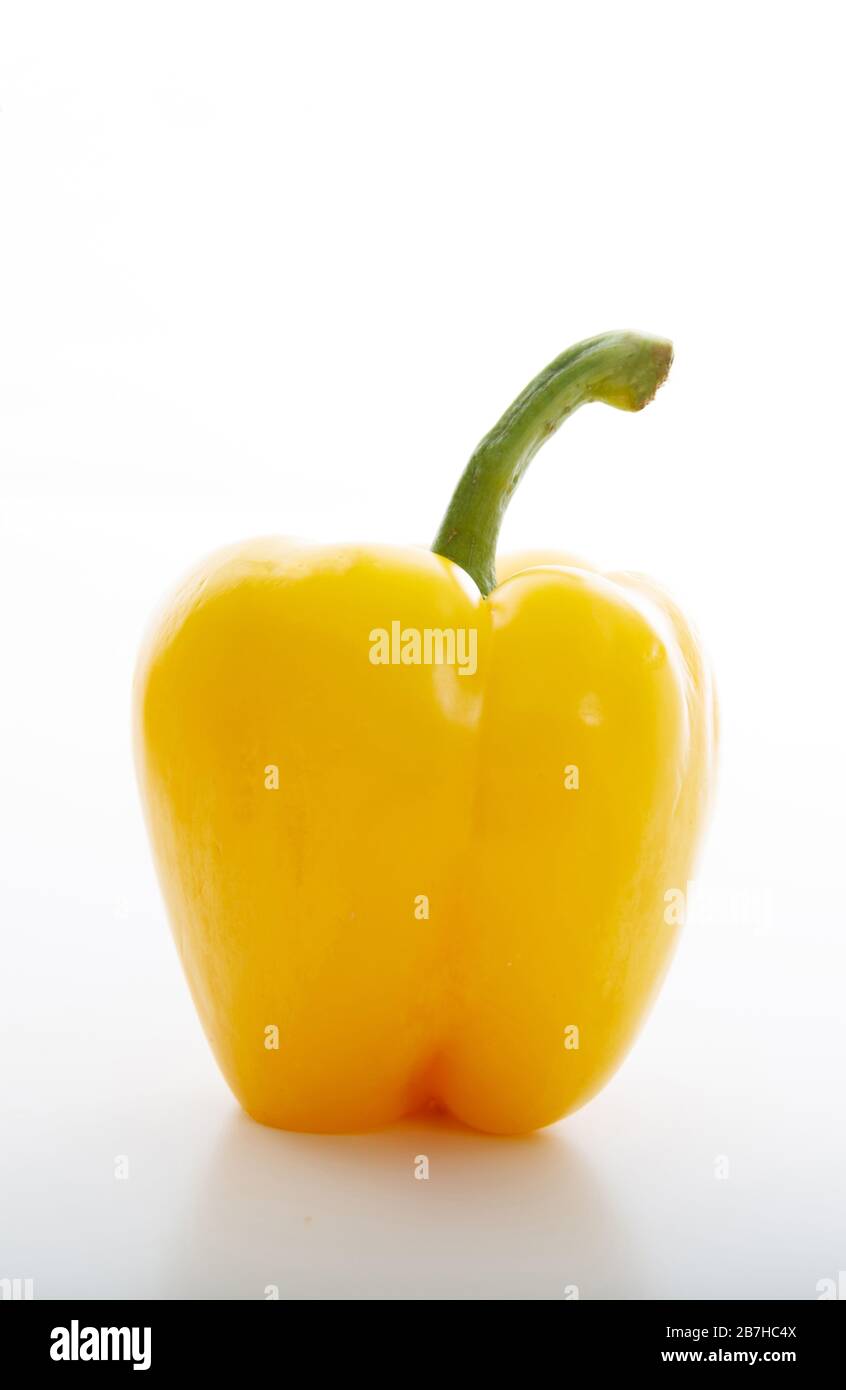 One yellow bell or bulgarian pepper with stem isolated on white background. Vertical portrait of the intact, healthy, dietary vegetable. Proper food f Stock Photo