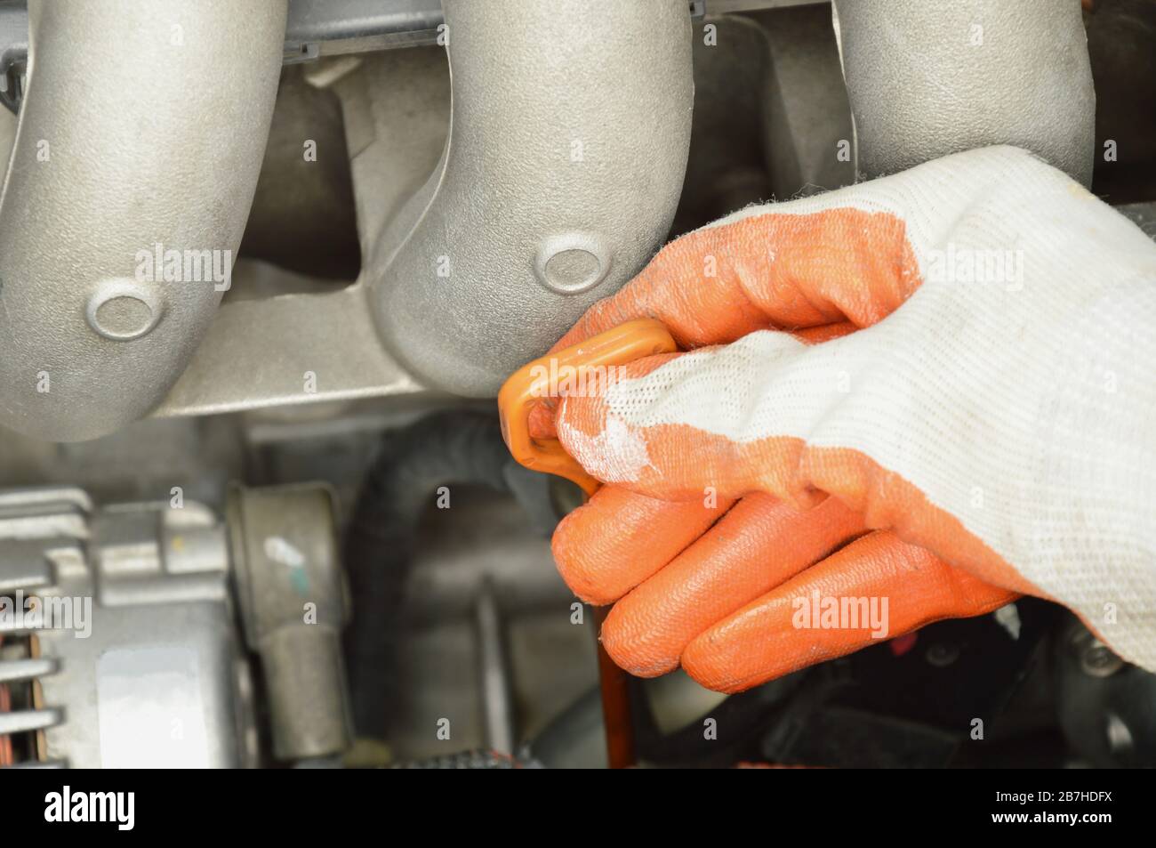 hand in glove pulling oil gauge stick up for checking lubricant level