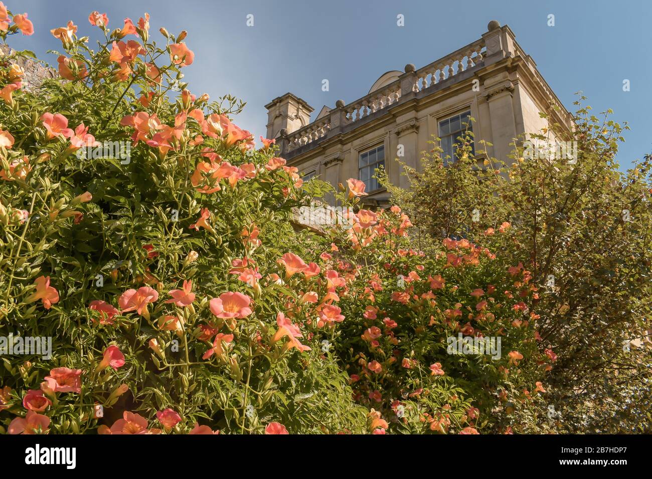 Chapel surrounded by flowers in summer, Cambridge, Cambridgeshire, United Kingdom Stock Photo