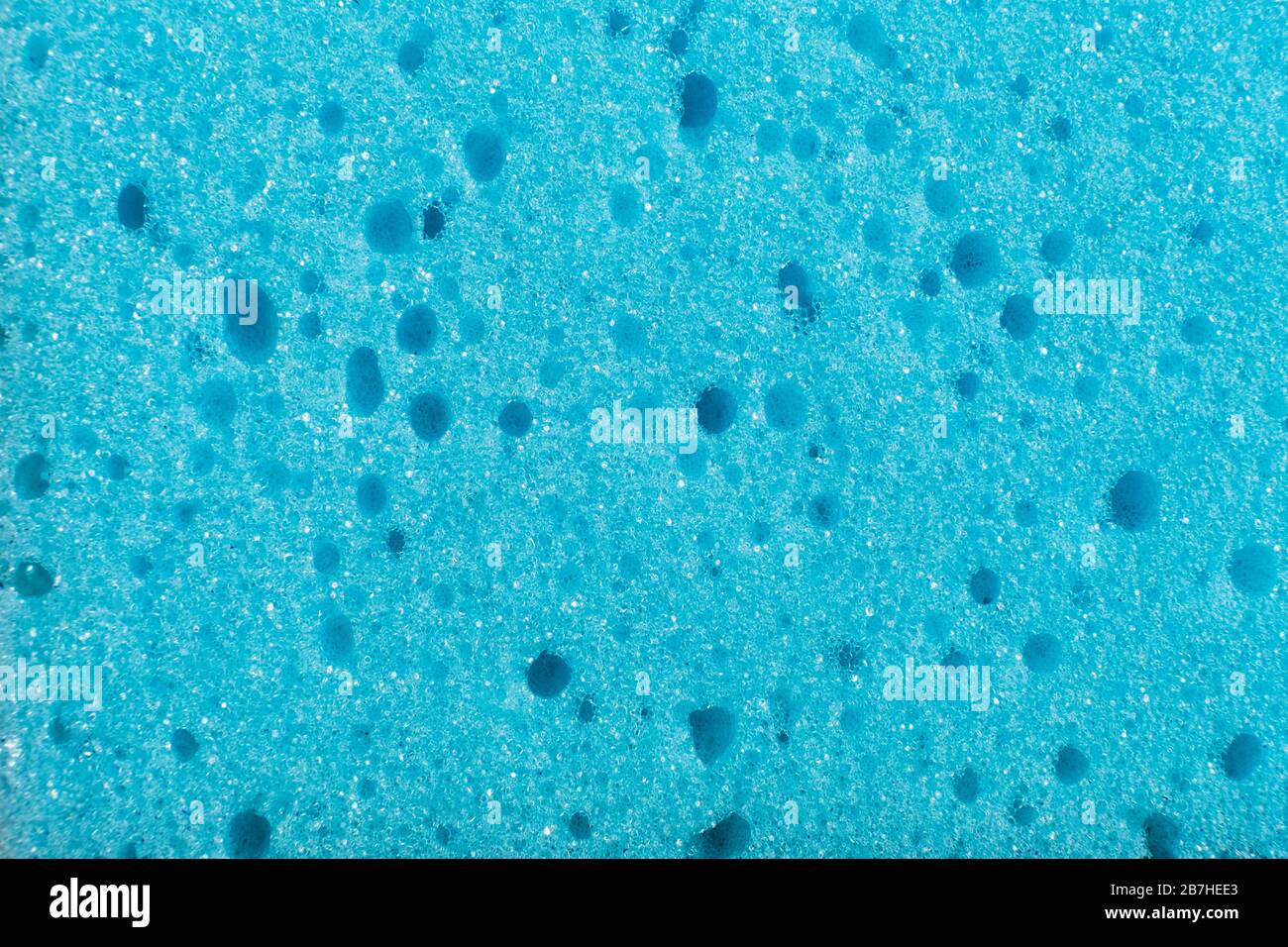 Sponge texture background. Stock Photo