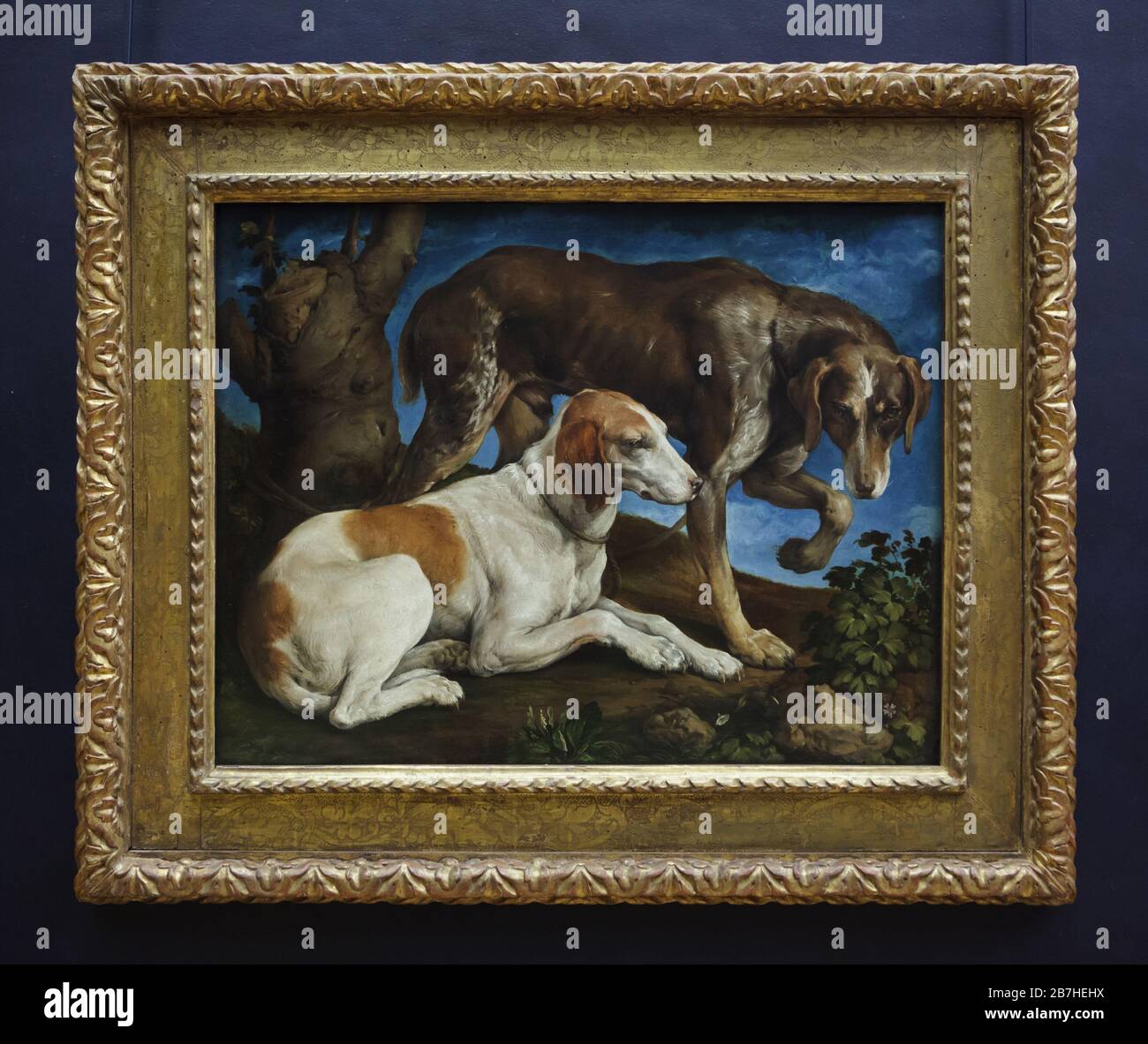 Painting 'Two hunting dogs tied to a tree stump' by Italian Renaissance painter Jacopo Bassano (1548) on display in the Louvre Museum in Paris, France. Stock Photo