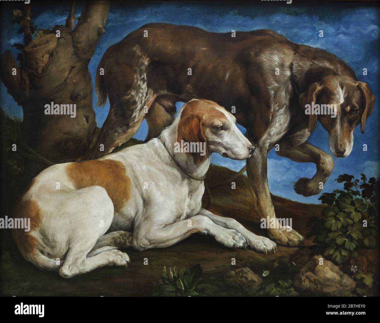Painting 'Two hunting dogs tied to a tree stump' by Italian Renaissance painter Jacopo Bassano (1548) on display in the Louvre Museum in Paris, France. Stock Photo