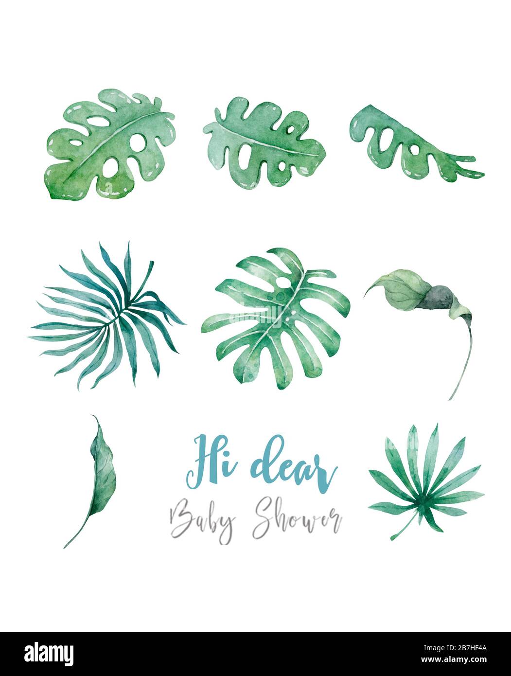 Hand drawn watercolor tropical set. Exotic leaves illustrations, jungle ...