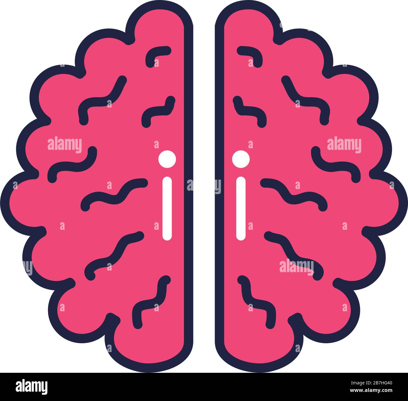 brain human organ line and fill style Stock Vector Image & Art - Alamy