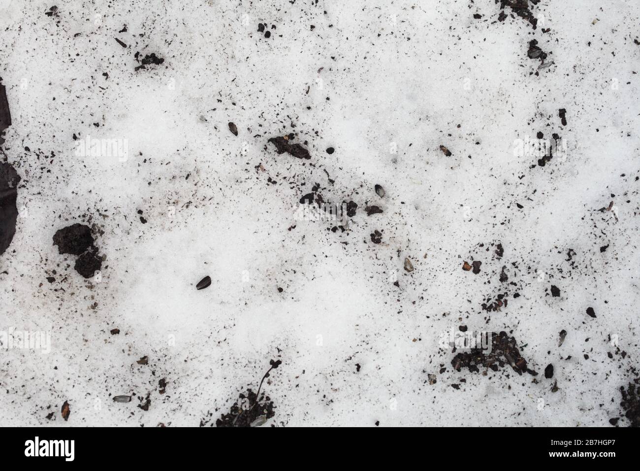 dirty white snow background texture Stock Photo