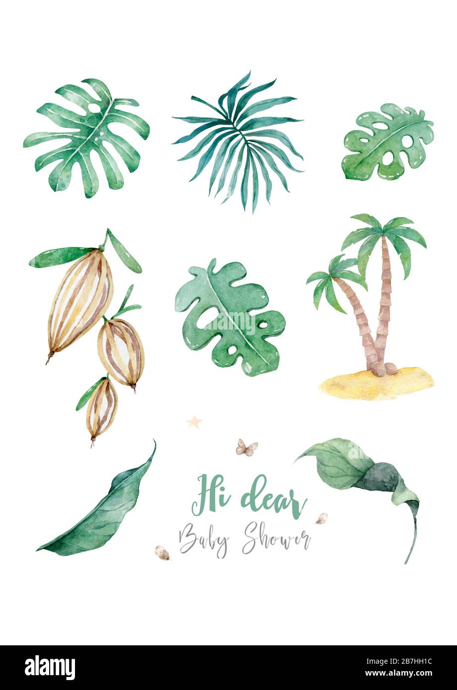 Hand drawn watercolor tropical set. Exotic leaves illustrations, jungle ...