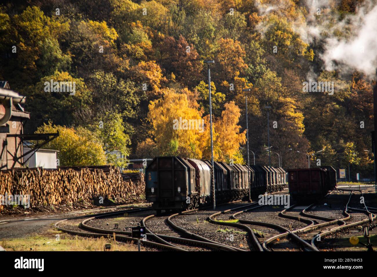 Freight cars on the company's own rail network Stock Photo