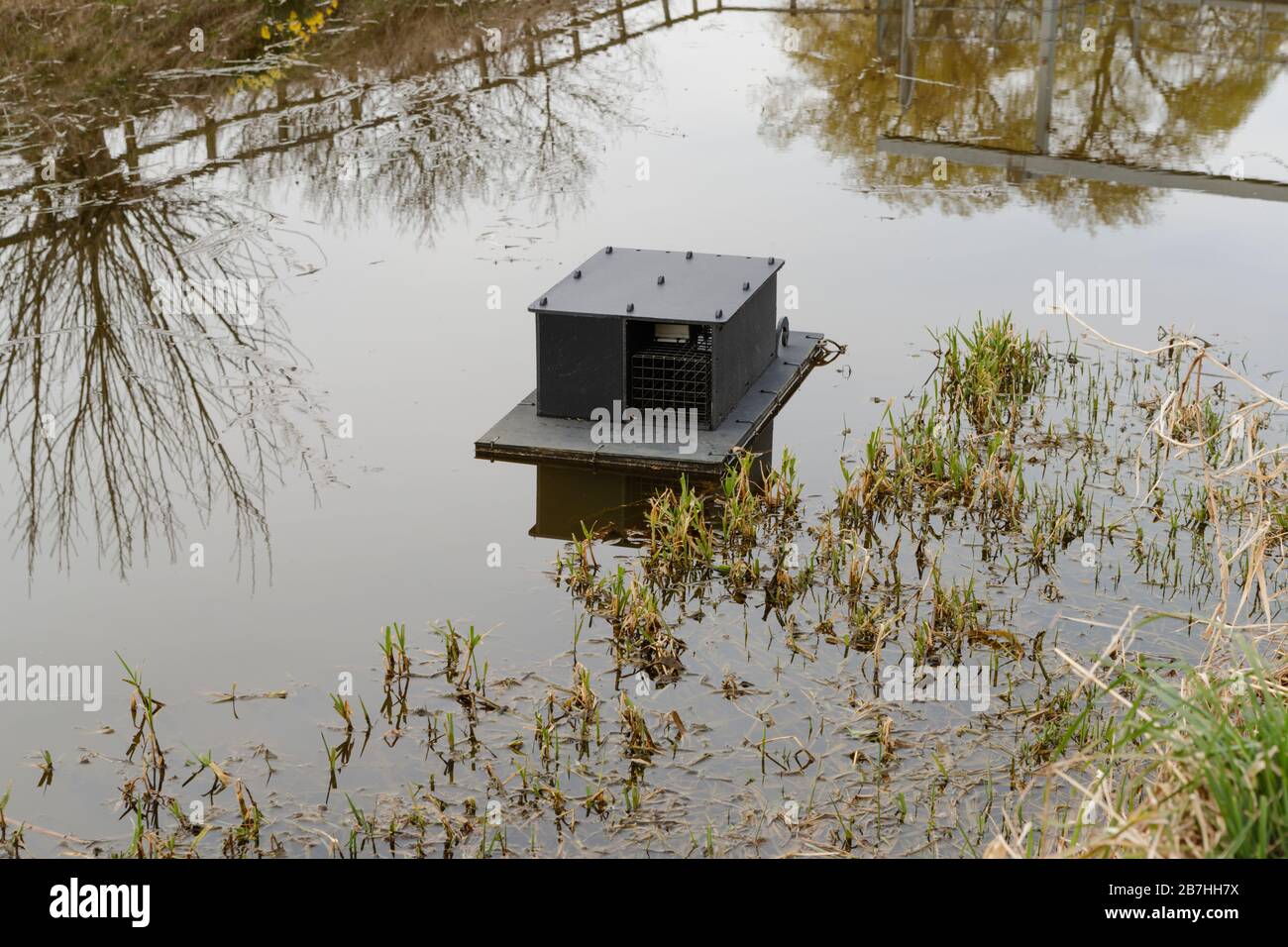 https://c8.alamy.com/comp/2B7HH7X/humane-trap-placed-in-river-used-to-trap-and-study-mink-2B7HH7X.jpg