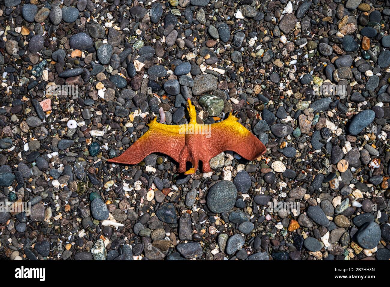 A small dinosaur toy probably a Pterosaur lost on a beach Stock Photo