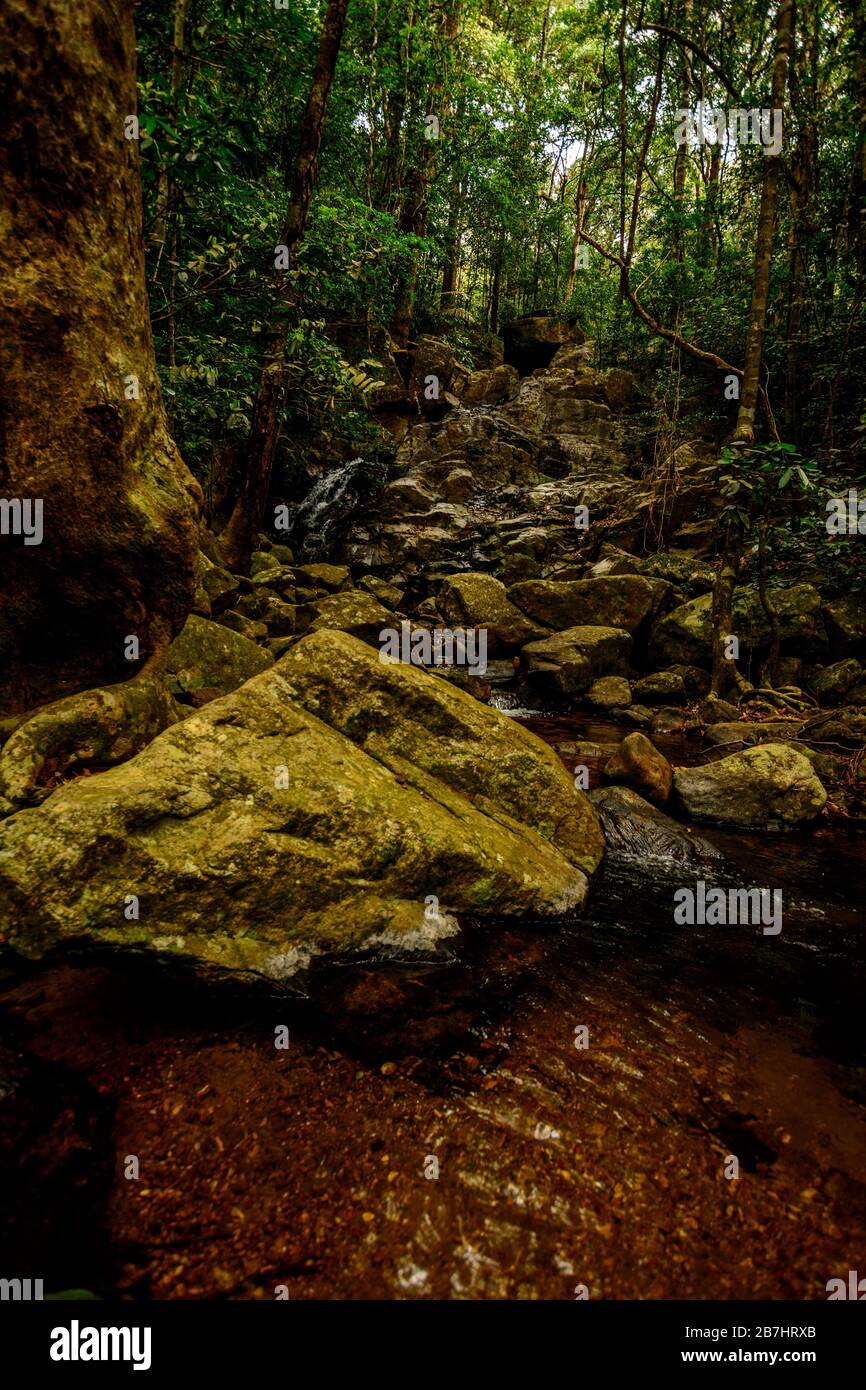 Deep forest creek with rocks western ghats India Stock Photo