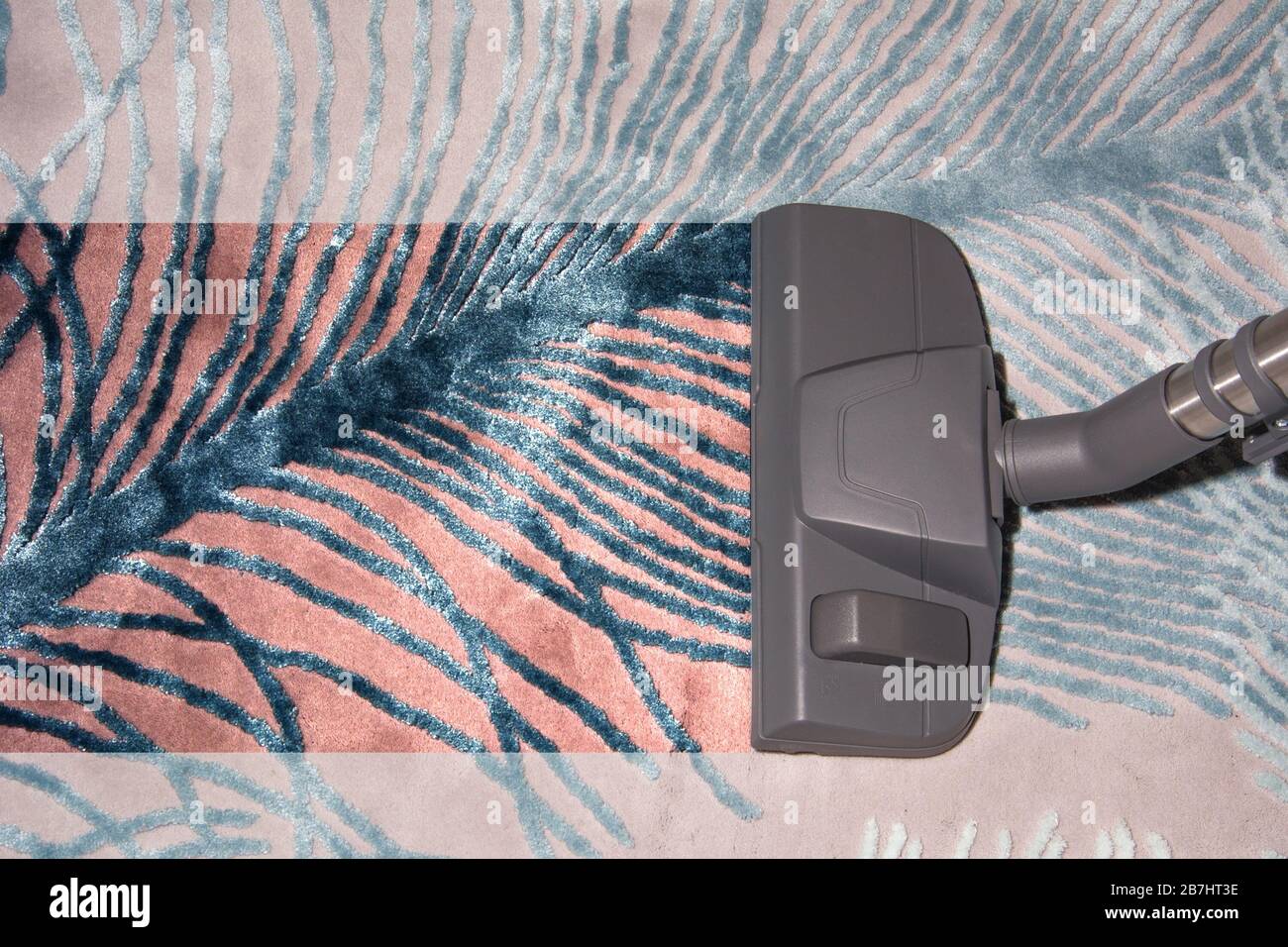 Removing dirt dust from blue carpet with vacuum cleaner. Vacuuming