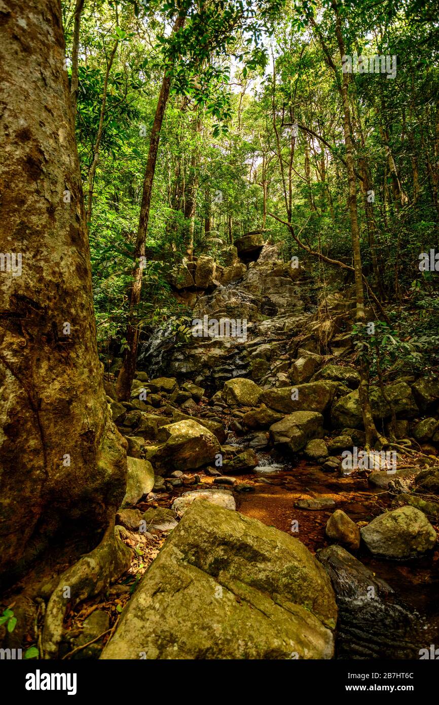 Deep forest creek with rocks western ghats India Stock Photo
