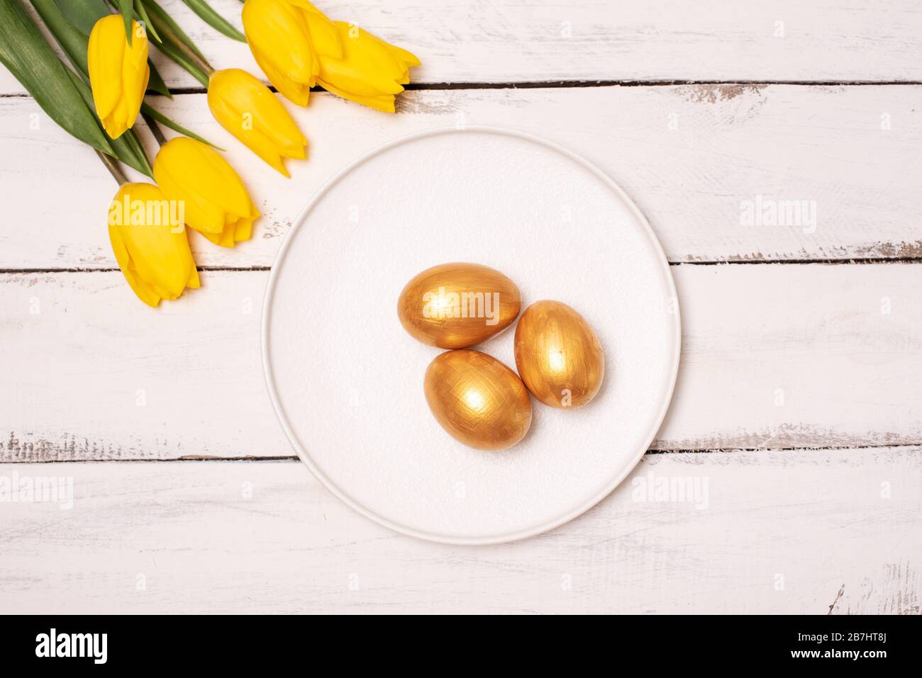 Easter background with blue and white eggs in nest and yellow tulips ...